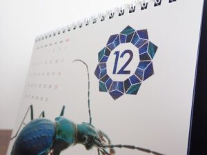 CARABUS CALENDER 2022